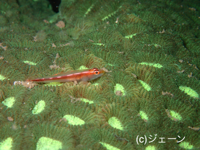 b0163039_14341644.jpg