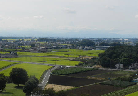 e0172950_19464010.jpg