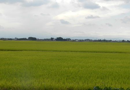e0172950_19485830.jpg