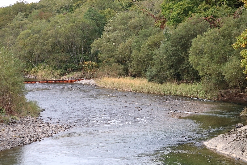 b0250154_20312549.jpg