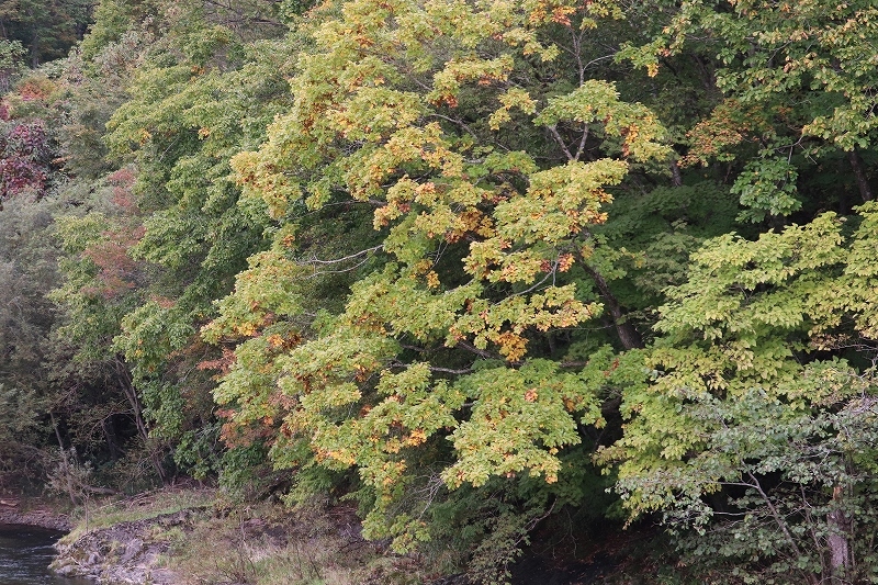 b0250154_20313899.jpg