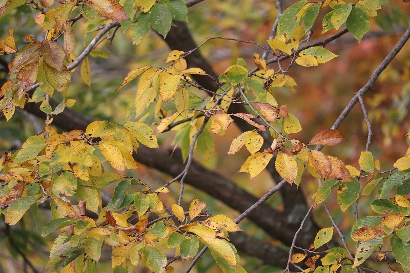 b0250154_20315568.jpg