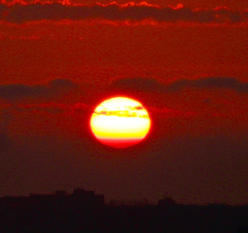 a0248459_15315656.jpg