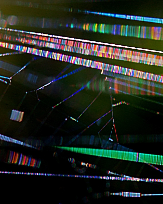 c0305565_17483311.jpg