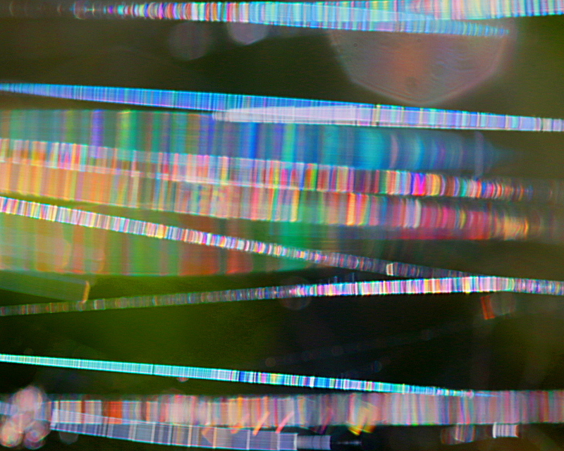 c0305565_17484935.jpg