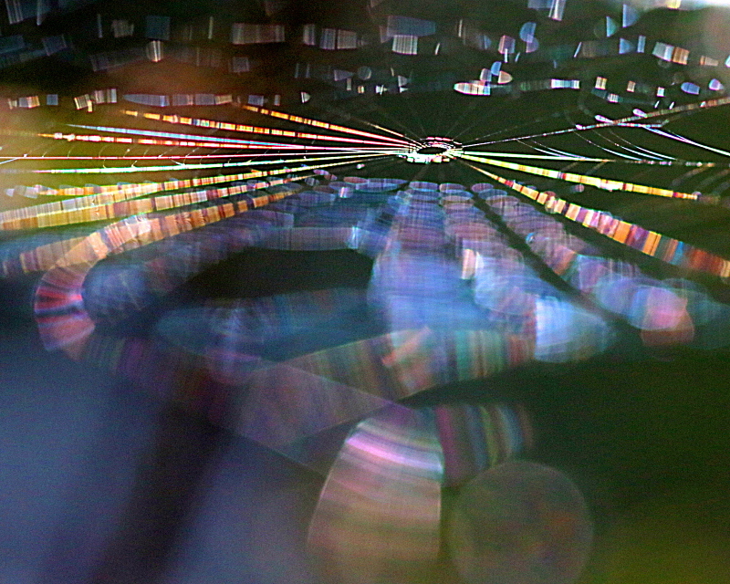 c0305565_17501264.jpg