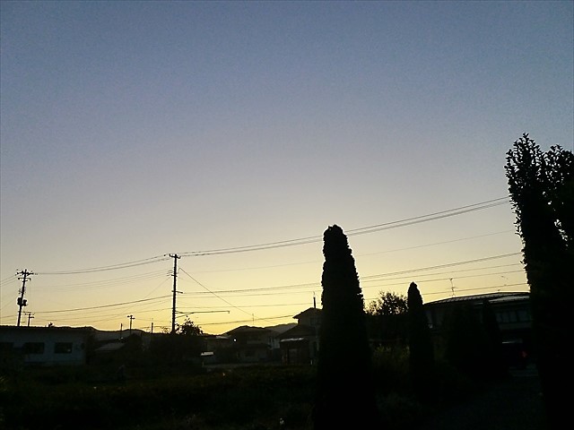 d0028665_18540490.jpg