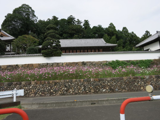 b0144174_17414421.jpg