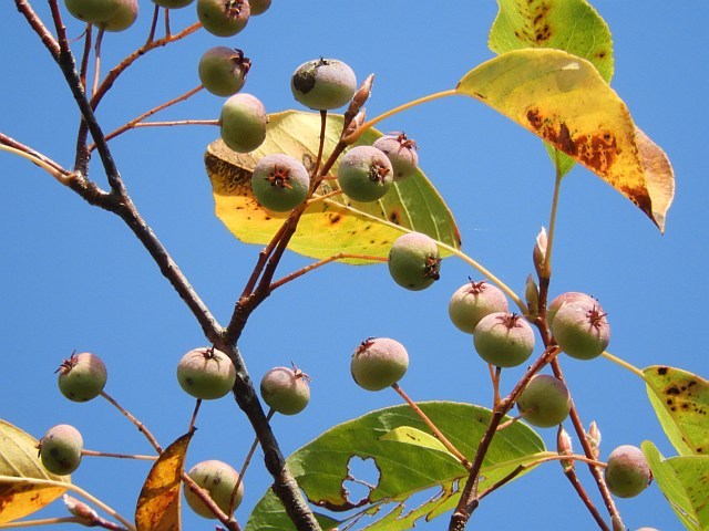 f0378979_20080044.jpg