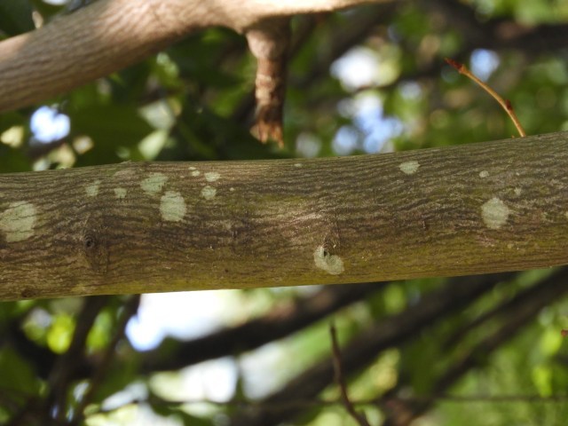 f0378979_20082128.jpg