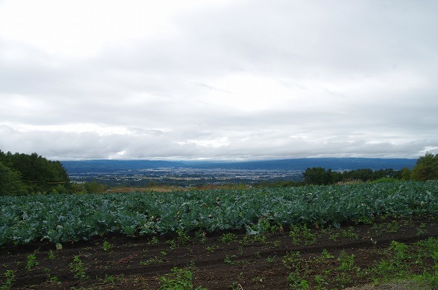 f0169884_13535936.jpg