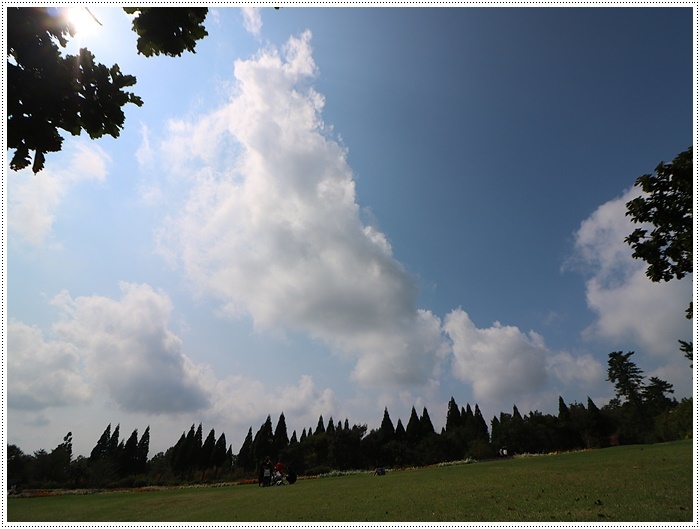 b0175688_23293046.jpg