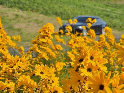 c0336902_20111725.jpg