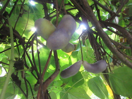 a0203003_16173636.jpg
