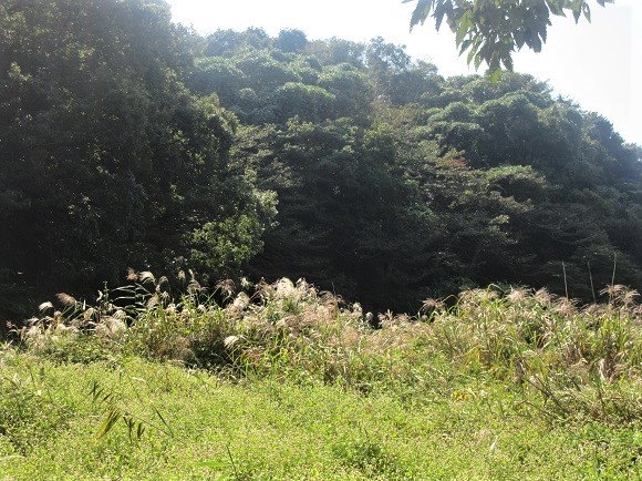 e0245404_21503414.jpg