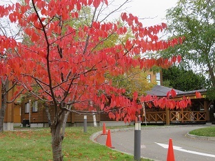 f0325309_17511909.jpg