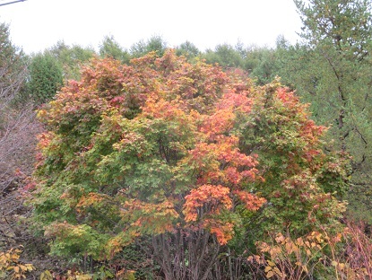 f0325309_17515123.jpg