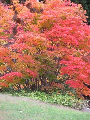 f0325309_17523853.jpg