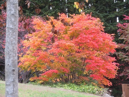 f0325309_17524951.jpg