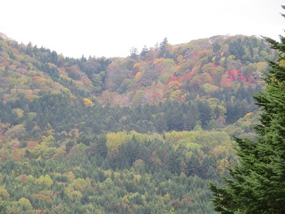 f0325309_17532113.jpg