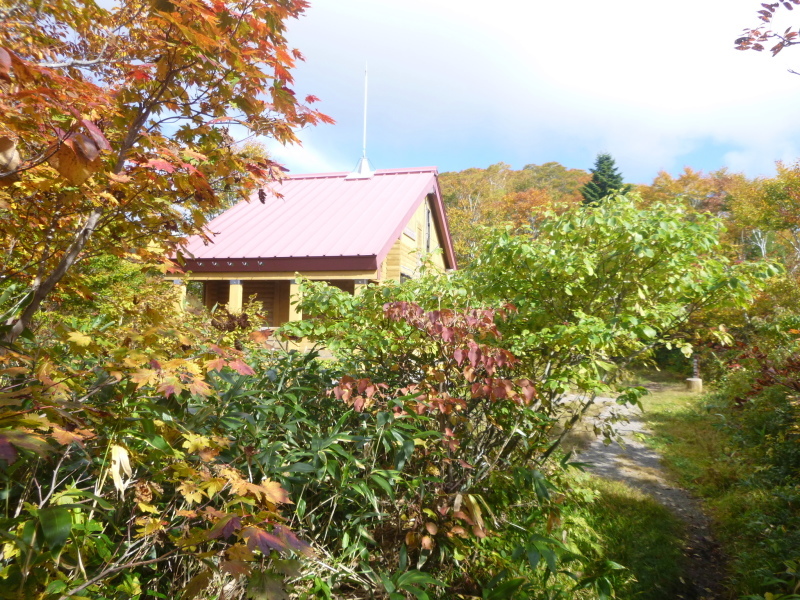 d0170615_20393249.jpg