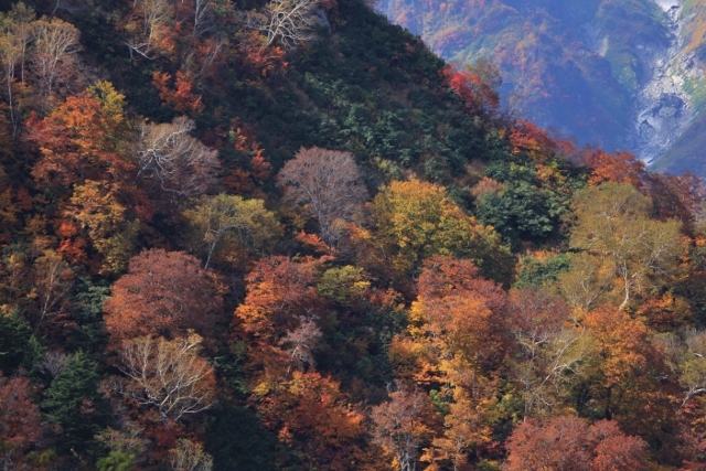 e0242721_07284952.jpg