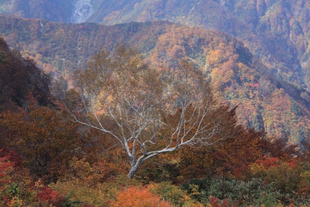 e0242721_07294020.jpg