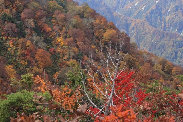 e0242721_07301548.jpg