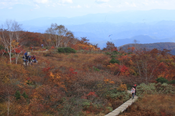 e0242721_07314334.jpg