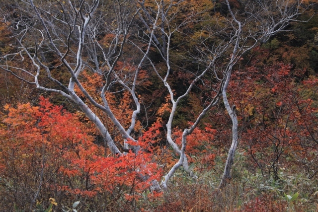 e0242721_07343040.jpg