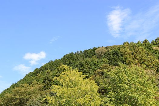 f0084422_18294411.jpg