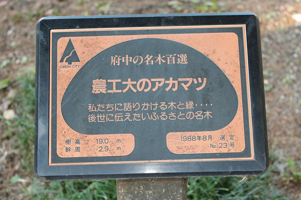 a0209630_21554239.jpg