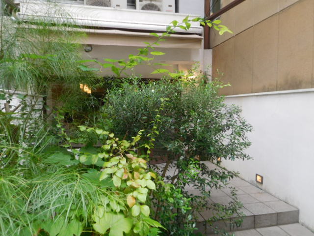 d0106134_20153497.jpg