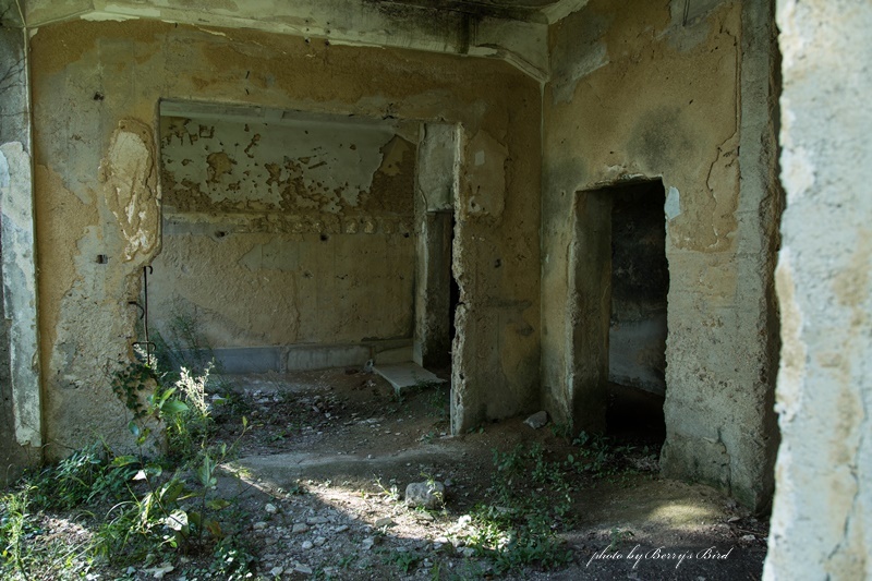 e0173743_23394739.jpg