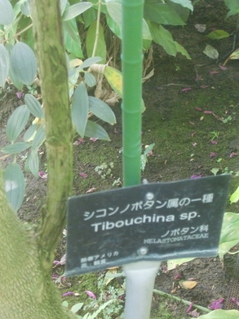 f0329849_16040972.jpg