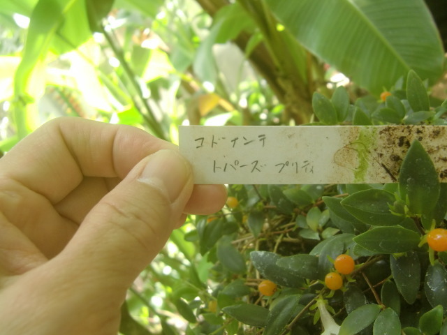 f0329849_16082404.jpg