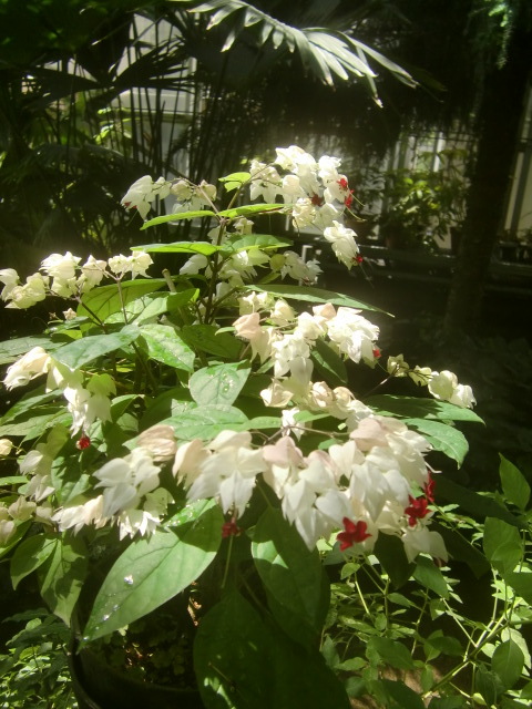 f0329849_16092291.jpg