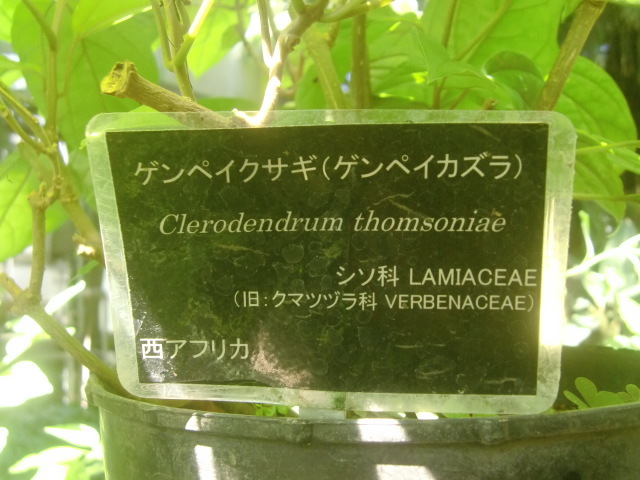 f0329849_16102271.jpg