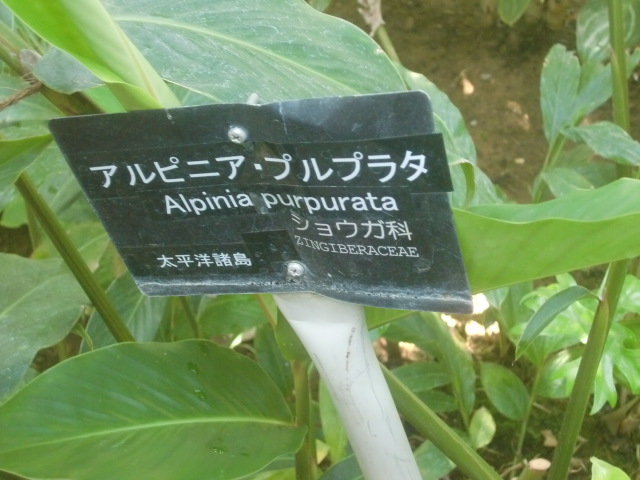 f0329849_16142176.jpg