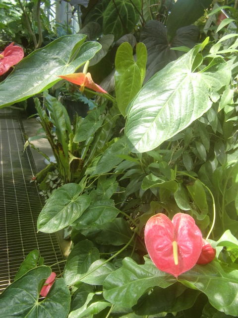 f0329849_16153570.jpg
