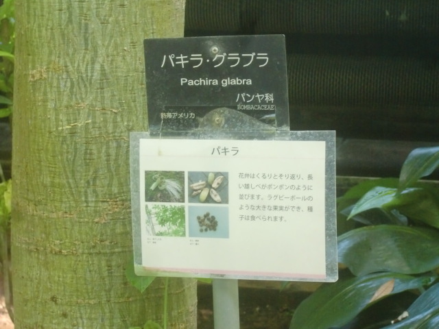 f0329849_16205633.jpg