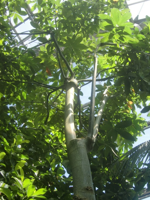 f0329849_16214243.jpg
