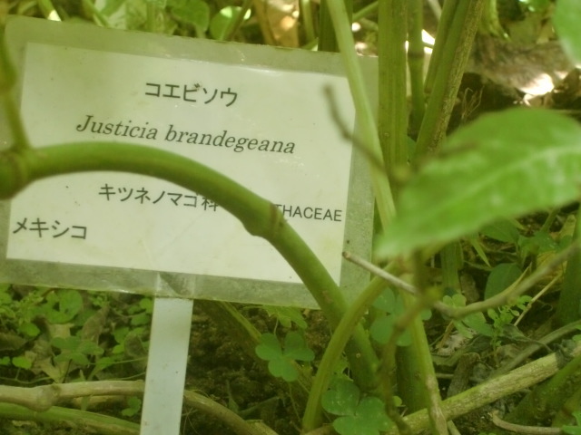 f0329849_16231434.jpg