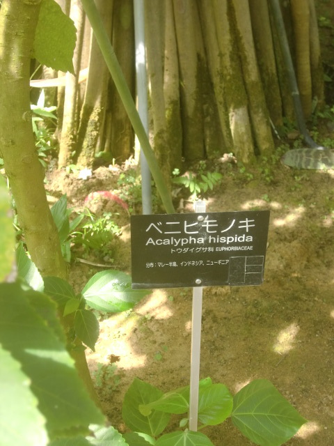 f0329849_16275251.jpg
