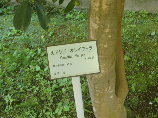f0329849_16291129.jpg