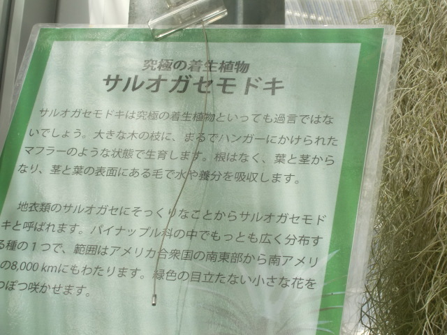 f0329849_17082874.jpg