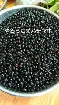 c0129250_163185.jpg