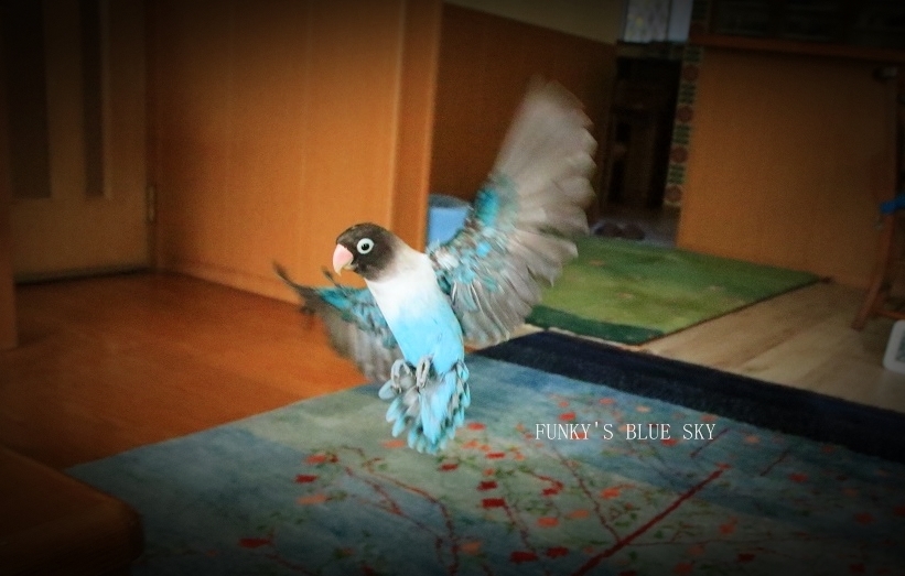 c0145250_09091090.jpg