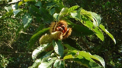 a0166454_11404357.jpg