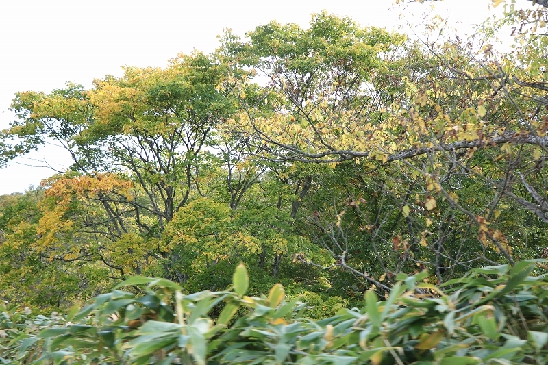 b0250154_06243840.jpg